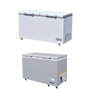 Congélateur horizontal commercial à <span class=keywords><strong>double</strong></span> <span class=keywords><strong>porte</strong></span> de grande capacité, un congélateur de haute qualité adapté à la congélation des ingrédients - Product Image 3