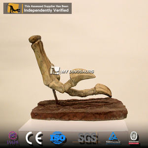 Dinosaurio Educativo My Dino DS055, Fósil de Dinosaurio Prehistórico, Modelo de Esqueleto de Velociraptor con Garras, en Venta - Product Image 5