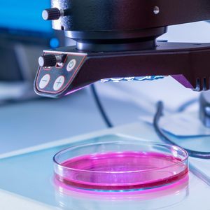 Dapat disesuaikan 100mm transparan PS plastik <span class=keywords><strong>Petri</strong></span> piring pola untuk laboratorium sel budaya dapat disesuaikan 100mm <span class=keywords><strong>Petri</strong></span> <span class=keywords><strong>dish</strong></span> - Product Image 6