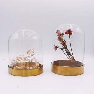 Fornitura di diverse dimensioni chiaro semplice fiore di rosa conservato in vetro a cupola di vetro con cupola in legno nero base in oro - Product Image 3