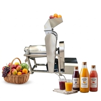 Industriële automatische commerciële fruitpers voor appel, ananas, druif en sinaasappel
