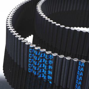 880-DHTD8M cinghia dentata in gomma a doppio dente, DXL, DL, DH, DXH, D5M, D8M, D14M, DT5, DT10, DT20 cinghia dentata - Product Image 3