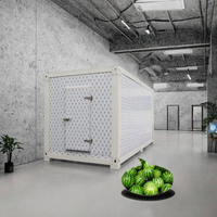 Cámara Frigorífica Solar para Almacenamiento de Pescado, con Compresor Daikin, Control Automático, Ahorro de Energía, Control Remoto