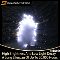 Guirlande lumineuse LED blanche de 10 m de haute qualité pour extérieur, fête, jardin, usage commercial, Noël, décorative, CE RoHS SAA UKCA, étanche