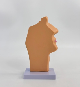 Modèle anatomique de la cavité nasale et du larynx sains, incluant la section du nez, de la gorge et du cou - Product Image 3