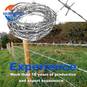 <span class=keywords><strong>Fil</strong></span> <span class=keywords><strong>de</strong></span> <span class=keywords><strong>fer</strong></span> <span class=keywords><strong>barbelé</strong></span> galvanisé <span class=keywords><strong>de</strong></span> 25 kg par rouleau, calibre 14, prix du <span class=keywords><strong>fil</strong></span> <span class=keywords><strong>barbelé</strong></span> - Product Image 5