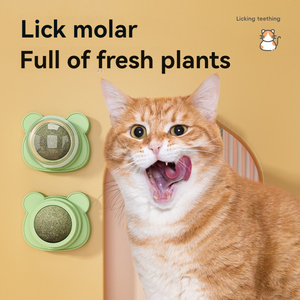 Juguete para Gatos <span class=keywords><strong>de</strong></span> Madera <span class=keywords><strong>de</strong></span> Silvervine con Catnip, Ecológico, con Orejas <span class=keywords><strong>de</strong></span> <span class=keywords><strong>Gato</strong></span>, Menta, Giratorio, Interactivo y Divertido - Product Image 4