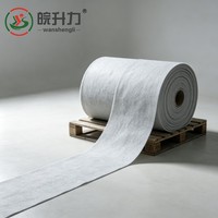 WSL Promotion Exceptionnelle : Géotextile en Fibres Courtes de Polypropylène (PP) à Prix Usine pour la Prévention des Inondations Fluviales
