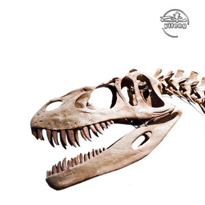 Museo Exposición Tamaño real Esqueleto de dinosaurio artificial Simulación al aire libre Esqueleto de <span class=keywords><strong>dinosaurios</strong></span> - Product Image 3