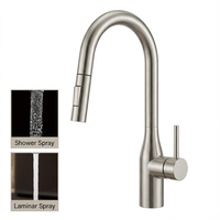 Robinet de cuisine moderne à bec extractible avec 2 fonctions, mélangeur d'eau, col de cygne, en acier inoxydable, poignée unique, 1 trou