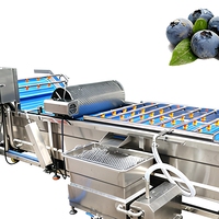 Mesin Pencuci dan Pengupas Blueberry, Mesin Pencuci dan Pengupas Blueberry Tipe Sikat, Mesin Pencuci Buah dan Sayuran