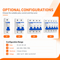 CH-INT NXB-125 Courbe D 63A 80A 100A 125A MCCB pour équipements électriques intensifs