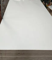 Contreplaqué stratifié HPL de qualité armoire ignifuge et résistant au feu 1220x2440mm