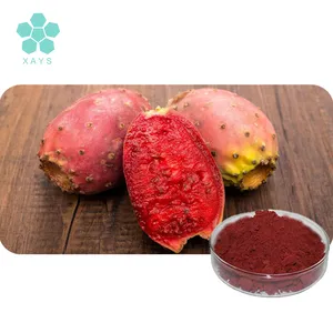 Youshuo Cấp Thực Phẩm Đồ Uống Prickly Pear / Cactus Fruit Extract Powder