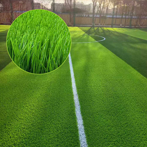 Césped <span class=keywords><strong>Artificial</strong></span> Ecológico y Duradero para Jardín, 10mm/20mm/30mm, Suave, de Plástico, para Paisajismo Exterior, Personalizable - Product Image 3