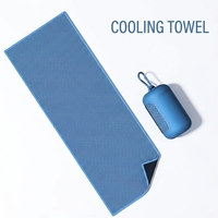 Serviette rafraîchissante en microfibre avec logo personnalisé, séchage rapide, pour la gym, le sport, la course à pied, le yoga, les activités de plein air