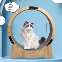Tapis roulant pour chat en bois massif avec rouleaux silencieux, grande taille, machine de fitness à domicile, fabriqué dans le Jiangsu