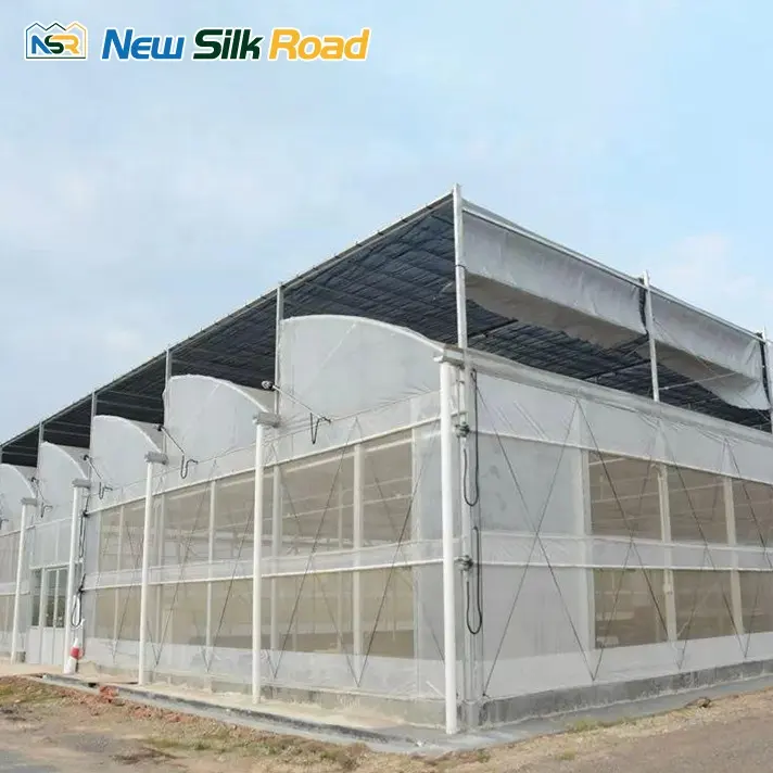 NSR Greenhouse Cheap Economical Multi-span Agricultural Sawtooth Greenhouse