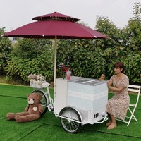 Gerobak Es Krim Komersial, Tricycle Pendingin, Gerobak Sepeda Freezer, Gerobak Jualan Jus, Gerobak Makanan Mobile, Roda Kolice Mark 1, Garansi 1 Tahun