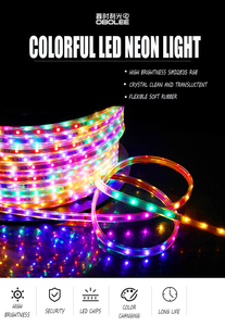 2835 RGB Chasing LED <b>Neon</b> <b>Flex</b> Strip 48 LEDs/m SPI Running Waterproof IP65 Outdoor Custom for Garden Home Decor - Product Image 3
