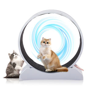 Rueda de ejercicio para gatos de 31 pulgadas, de plástico, con pasarela alfombrada para el ejercicio de gatos. - Product Image 4