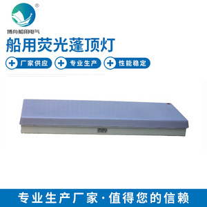 Lámpara de Techo Fluorescente CYQ4216 IP65 para Almacenes, Residencias y Oficinas, Iluminación de Cubiertas y Cabinas - Product Image 2