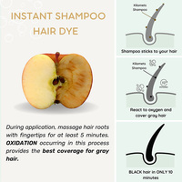 Shampooing de coloration capillaire de marque privée shampooing 3 en 1 à base de plantes pour le contrôle de la couleur des cheveux noirs pour la couverture des cheveux gris