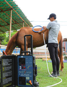 Thérapie magnétique par impulsions Hippodrome Premier choix Physiothérapie Pemf Cheval Réhabilitation physique <span class=keywords><strong>Magnétothérapie</strong></span> Machine - Product Image 2