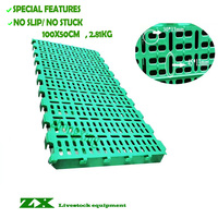 Nouvel équipement de sol en plastique à lattes Zhongxing ZX-100*50cm Vert Garantie 1 an pour l'élevage de moutons