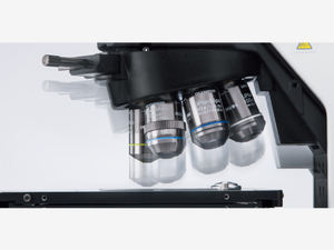 <span class=keywords><strong>Microscope</strong></span> fluorescent inversé à motorisation automatique <span class=keywords><strong>Olympus</strong></span> BX63 pour l'imagerie de cellules vivantes - Product Image 4