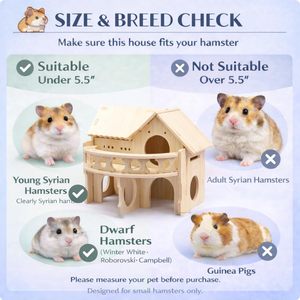 Grande maisonnette <span class=keywords><strong>en</strong></span> bois pour hamsters, à double étage, style forêt, pour hamsters nains, souris, gerbilles, rats, petits animaux, taille compacte - Product Image 2