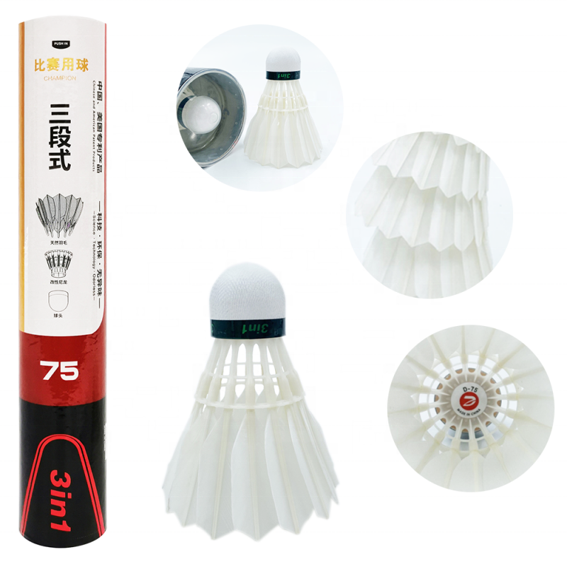 Dmantis D45 Best Selling 3in1 Badminton