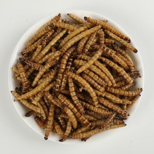<span class=keywords><strong>Insectes</strong></span> <span class=keywords><strong>comestibles</strong></span> en gros, vers de farine séchés, nourriture pour animaux, supervers - Product Image 2
