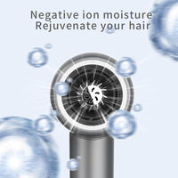 Sèche-cheveux universel multifonction 3-en-1 Revair Reverse-Air Steamer 1500W avec diffuseur ionique