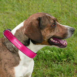 <span class=keywords><strong>Collare</strong></span> <span class=keywords><strong>cane</strong></span> personalizzato con <span class=keywords><strong>nome</strong></span> e numero di telefono - Product Image 2