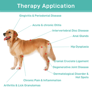 कस्टम पैकिंग थोक मूल्य चिकित्सा पालतू स्वास्थ्य आपूर्ति एलर्ट कोल्ड लेजर पशु चिकित्सा फिजियोथेरेपी उपकरण - Product Image 5