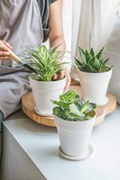 Pot de fleurs personnalisé en fibre de bambou écologique sans BPA, enduit de poudre, incassable, pour la maison et le jardin