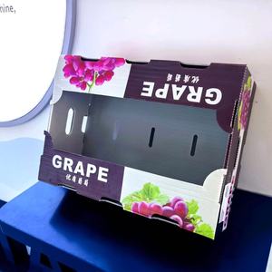 <span class=keywords><strong>Caja</strong></span> de volumen de almacenamiento de frutas y verduras plegable PP corrugado blanco de fábrica con impresión de logotipo <span class=keywords><strong>Caja</strong></span> De Plástico <span class=keywords><strong>Caja</strong></span> De envío - Product Image 1