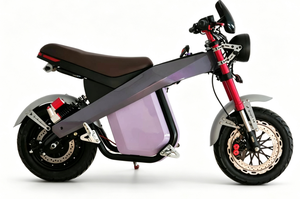 Moto électrique de course sportive mini Streetfighter pour adultes, directement de l'usine - Product Image 5