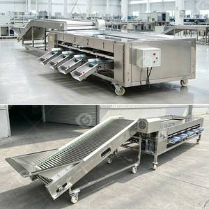 Máquina clasificadora y calibradora de rodillos para lavado y encerado de piña, hongos, manzana y naranja en línea de producción - Product Image 2