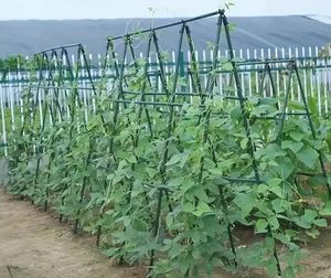 Erhältlich zu wettbewerbs fähigen Preisen Umwelt freundliche Garten dekor Metall pfähle Beste Qualität Landwirtschaft Garten pfähle - Product Image 4