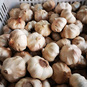 La Chine fermenté plusieurs gousses d'<span class=keywords><strong>ail</strong></span> <span class=keywords><strong>noir</strong></span> sec <span class=keywords><strong>ail</strong></span> traité 100g à vendre prix bon marché - Product Image 2