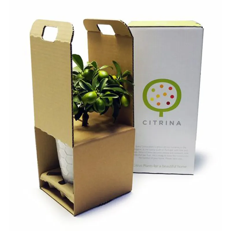 Cajas de embalaje corrugadas para plantas, caja de envío para plantas en maceta, respetuosas con el medio ambiente