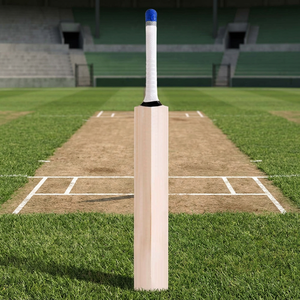 JNA Group Batte de cricket en bois écologique légère 2,6 lb durable pour les 8-12 ans Ambidextre - Product Image 6