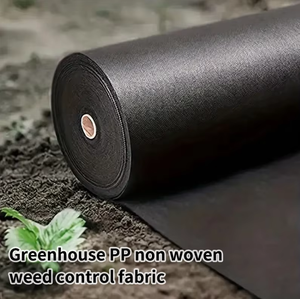 Tissu non tissé agricole durable en PP pour la protection des cultures contre le gel et la promotion de la croissance des semis - Product Image 1