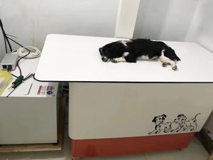 Pet hayvan tıbbi Xray fiyat Flet paneli X Ray veteriner X Ray makinesi türleri için 5KW X Ray dedektörü paneli - Product Image 6