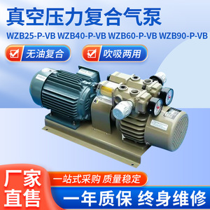 ปั๊มสุญญากาศแบบหัวเดียว Isge Wzb-P-Vb 22 ลูกบาศก์เมตร/ชั่วโมง ปราศจากน้ำมัน ผลิตจากเหล็กหล่อและสแตนเลส ขับเคลื่อนด้วยไฟฟ้า อะไหล่เครื่องจักรบรรจุภัณฑ์ - Product Image 5