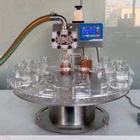 Machine de dosage rotative automatique pour liquides visqueux (bouteilles en plastique) : sauce tomate, ketchup, 10L/min, 2000mL