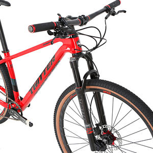 Bicicleta de Montaña de Fibra de Carbono <span class=keywords><strong>para</strong></span> Hombre LEAO 2025, Nueva, en Oferta, 29 Pulgadas, Bicicleta de Carbono SX de 12 Velocidades, <span class=keywords><strong>Color</strong></span> Gris, Bicicleta MTB en Venta - Product Image 4