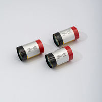 Batterie cylindrique rechargeable au lithium cobalt oxyde 3,7 V 800 mAh, modèle 20250, pour appareils ménagers et outils électriques